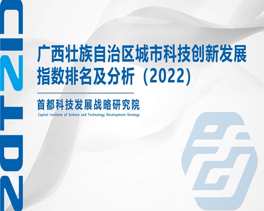 大鸡巴叉逼视频【成果发布】广西壮族自治区城市科技创新发展指数排名及分析（2022）